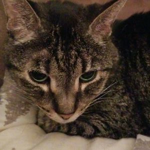 Meet your Posher, Deb